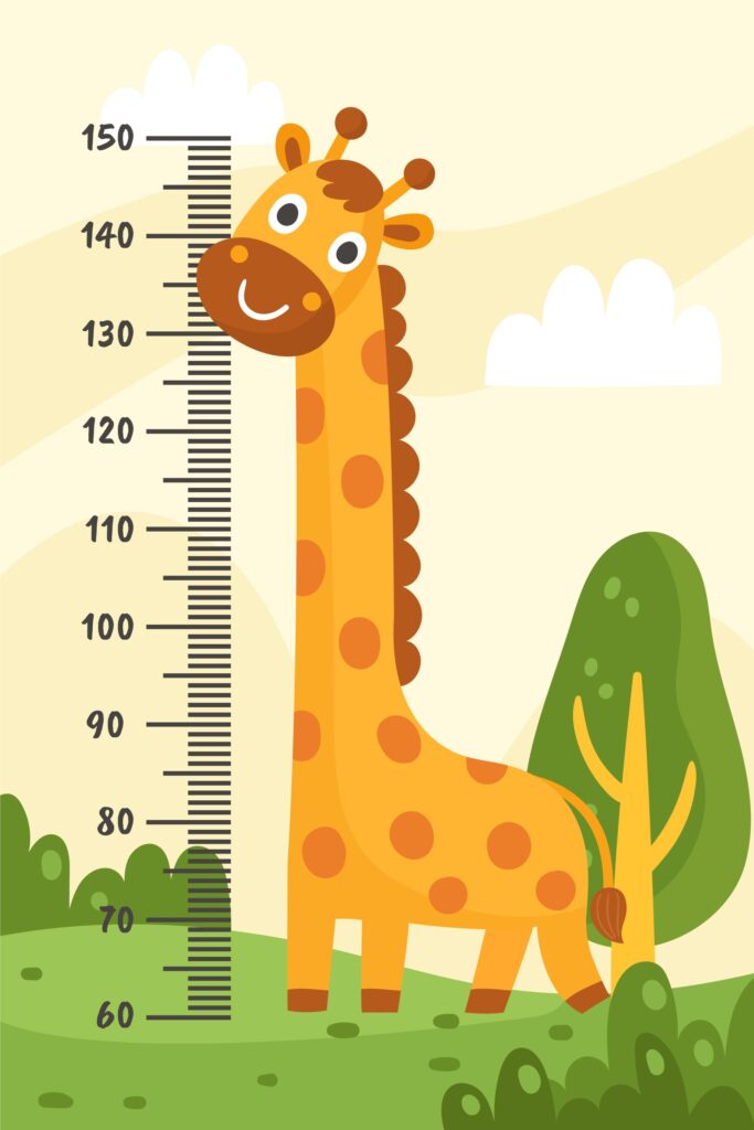 Baby Height and Weight Chart