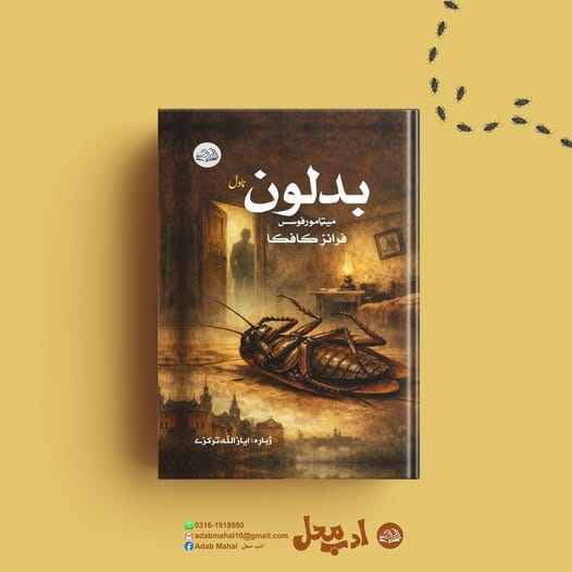 627713911_1509240504539518_2008828324875147870_n