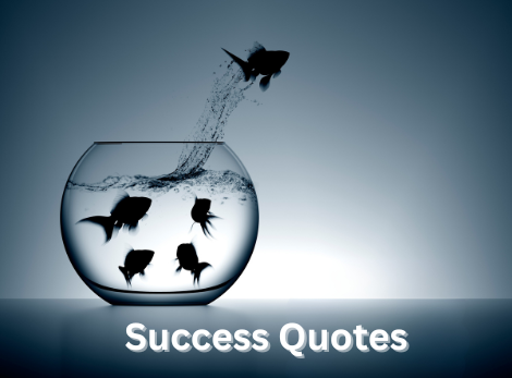 Success Quotes urduboon