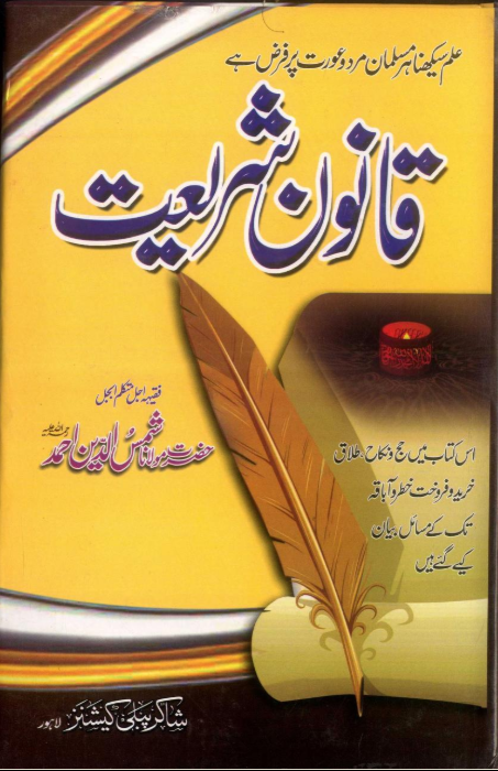 screen-03.58.58[15.02.2026]